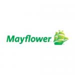Mayflower Promo Codes